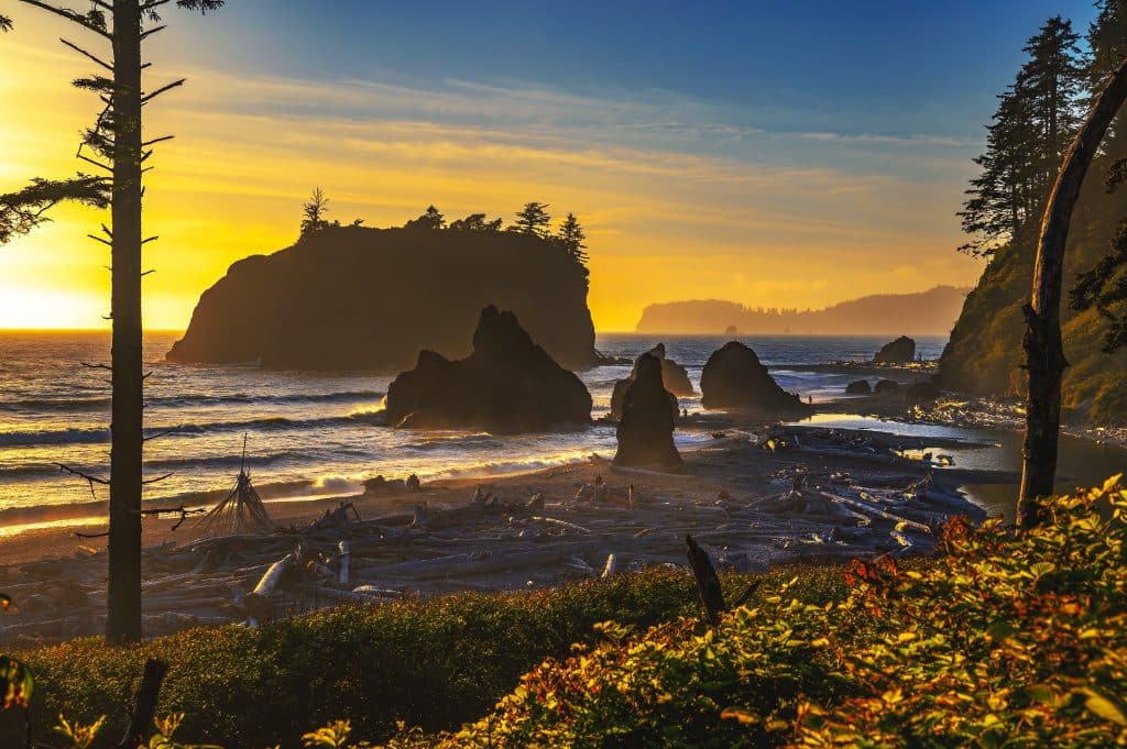 Zonsondergang bij zeestapels Olympic National Park Washington