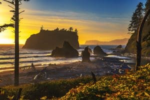 Zonsondergang bij zeestapels Olympic National Park Washington