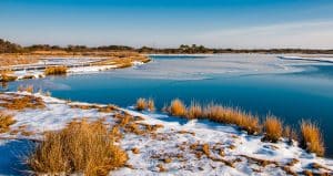 Bevroren moeraslandschap in Assateague Island Maryland