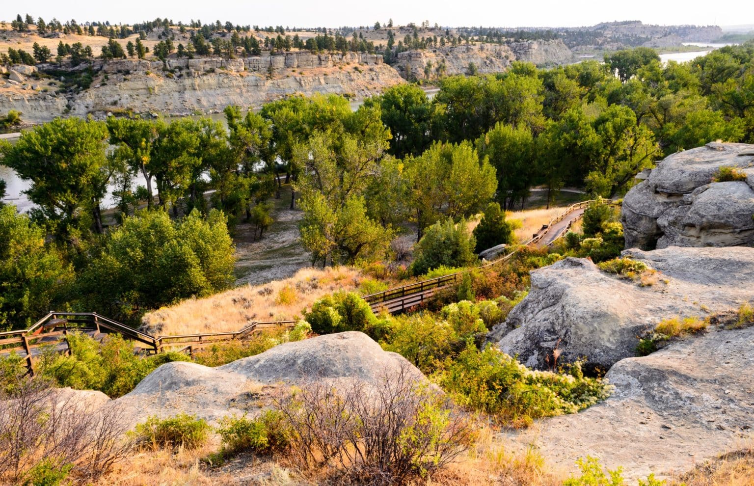 Rotsen en landschap in Billings, Montana