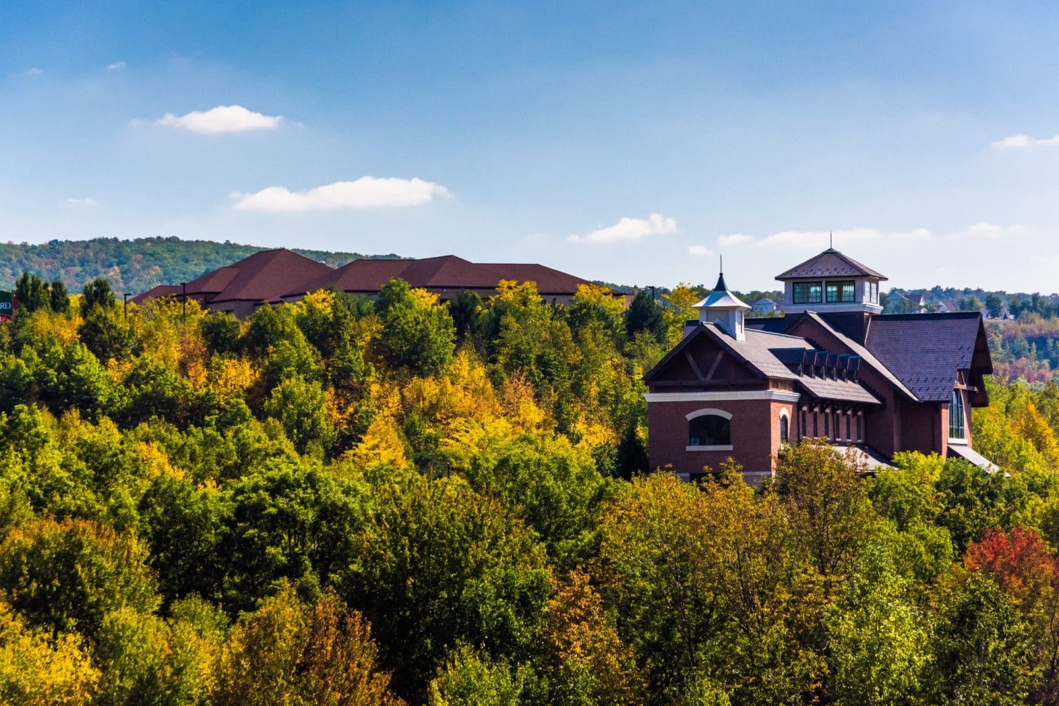herfstbos in Pocono Mountains Pennsylvania