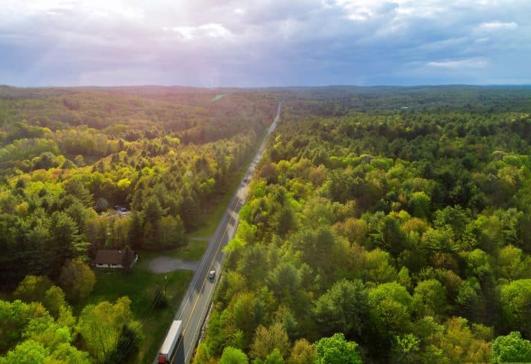 weg door groen bos in Pocono Mountains Pennsylvania
