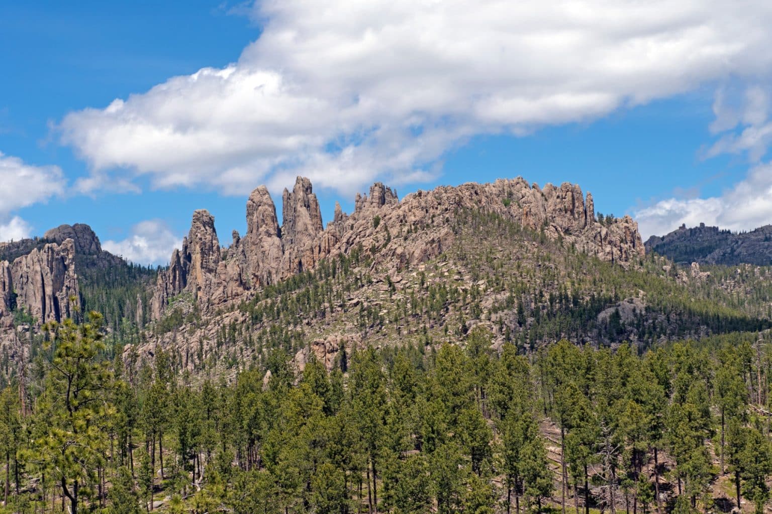 Rotsformaties Needles met bos in Custer State Park South Dakota