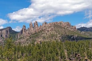 Rotsformaties Needles met bos in Custer State Park South Dakota