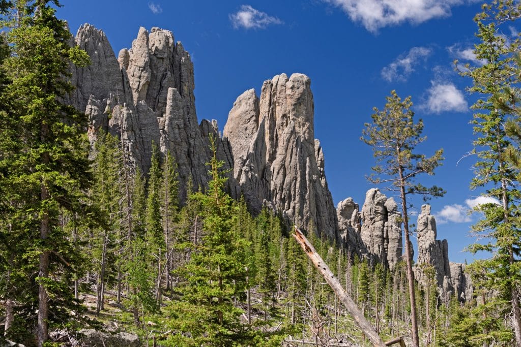 Rotsformaties Needles met bomen in Custer State Park South Dakota
