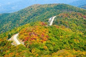 Herfstkleuren langs weg in Shenandoah National Park