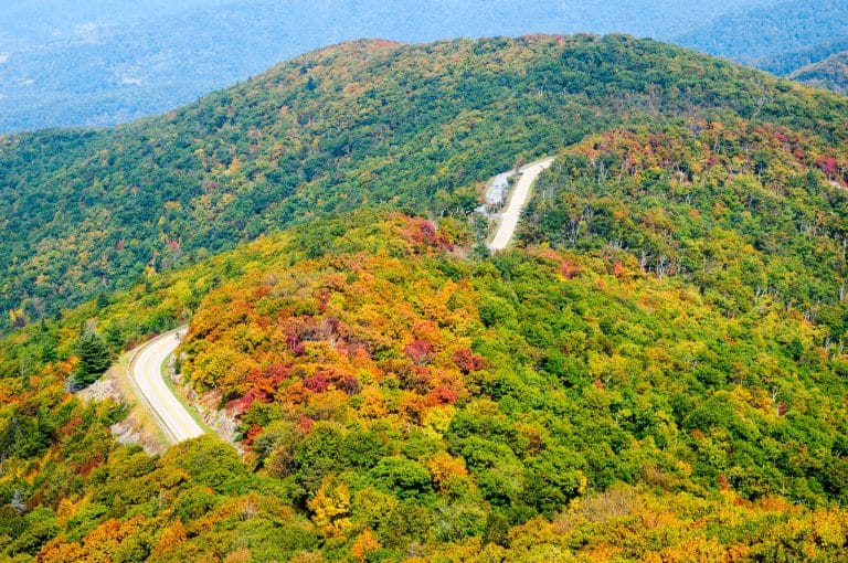 Herfstkleuren langs weg in Shenandoah National Park