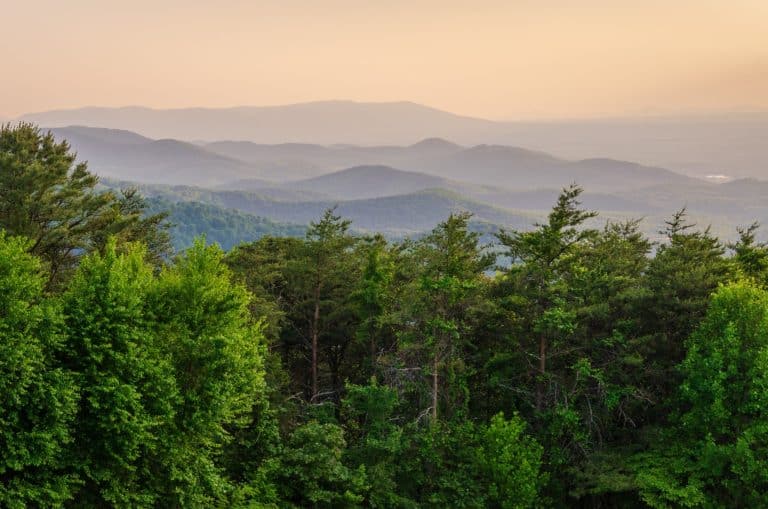 Zonsondergang boven bossen in Shenandoah National Park