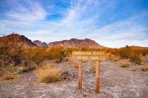 Chihuahuan Desert Trail in Big Bend National Park Texas