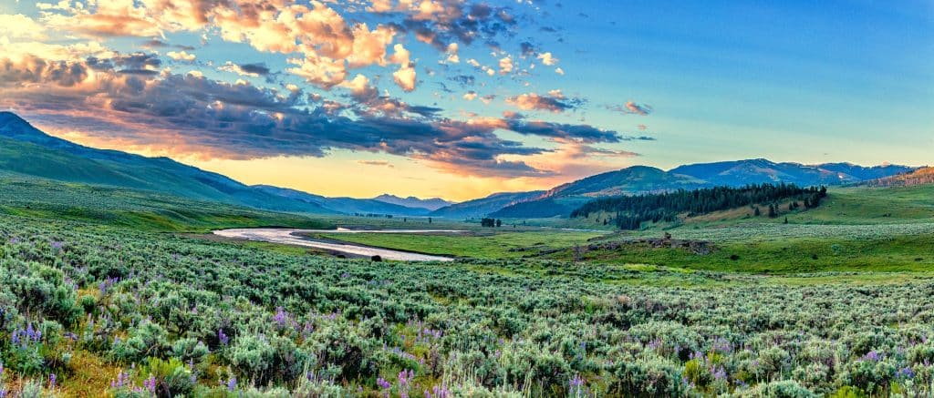 Lamar Valley bij zonsopkomst in Yellowstone National Park