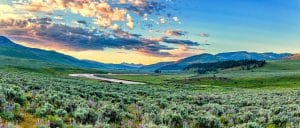 Lamar Valley bij zonsopkomst in Yellowstone National Park