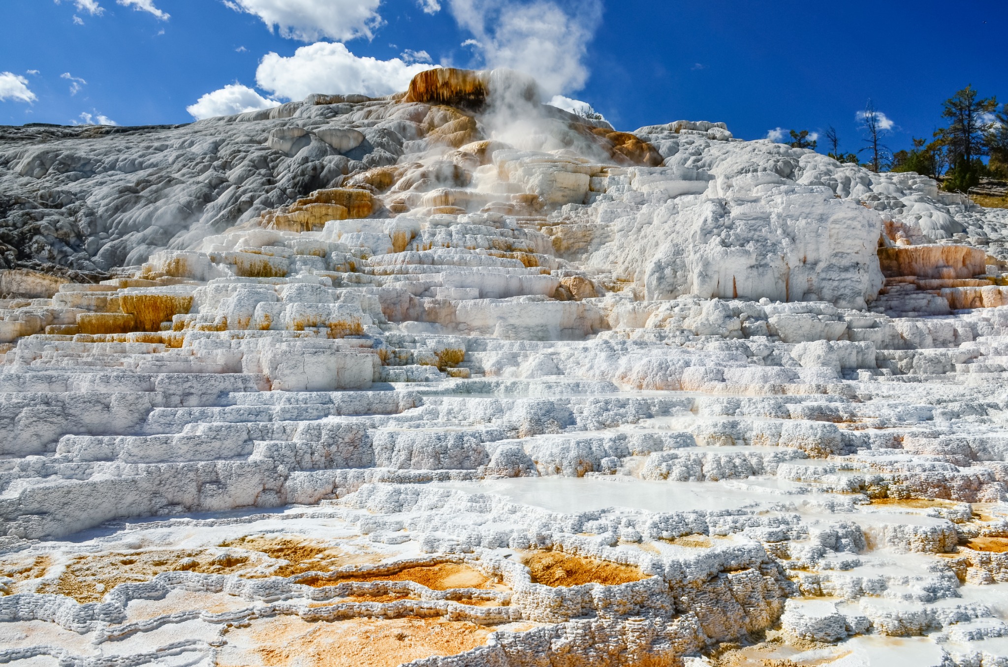 Terrassen van Mammoth Hot Springs in Yellowstone National Park