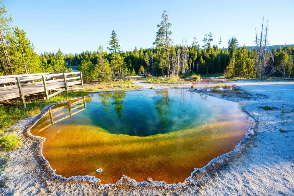 Morning Glory Pool in Yellowstone National Park