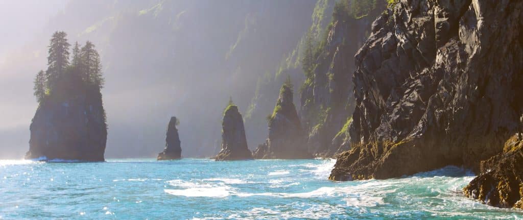 Zeerotsen met dennenbomen bij Seward, Alaska