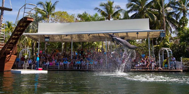 Dolfijnenshow bij Theater of the Sea in Islamorada, Florida