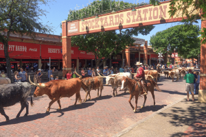 Fort Worth Texas