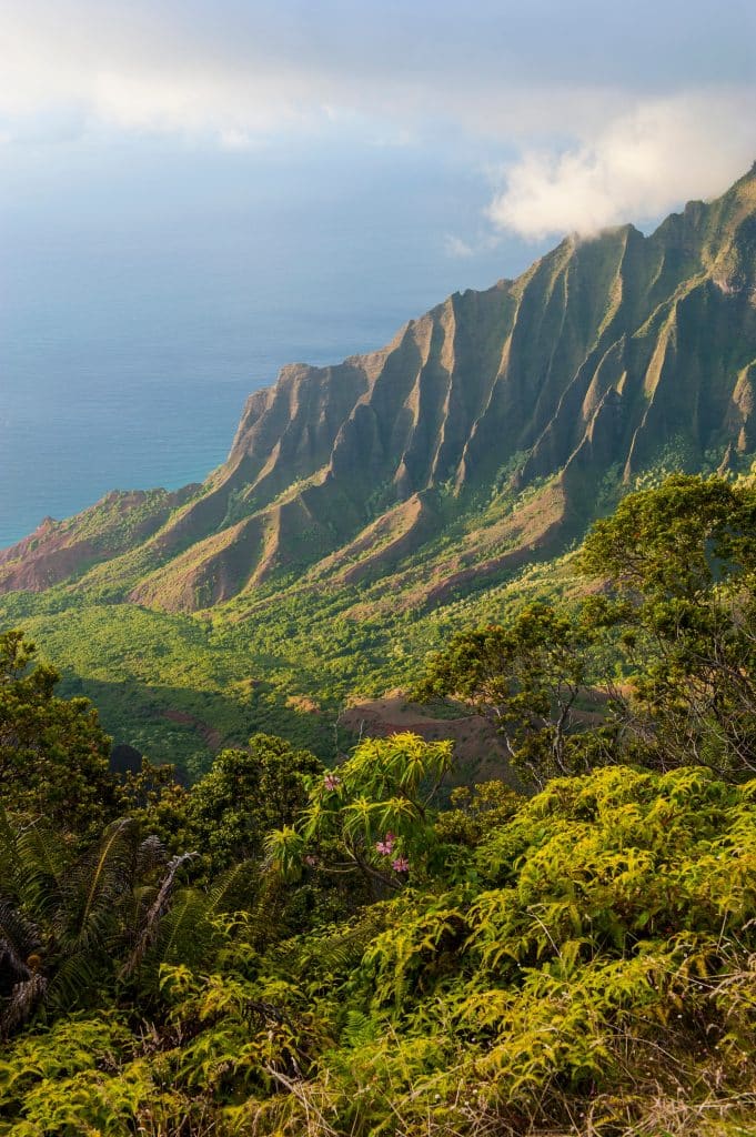 Uitzicht over Na Pali Coast in Kauai, Hawaii