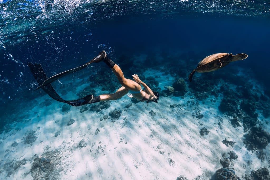 Waikiki Catamaran Snorkel Sail
