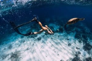 Waikiki Catamaran Snorkel Sail