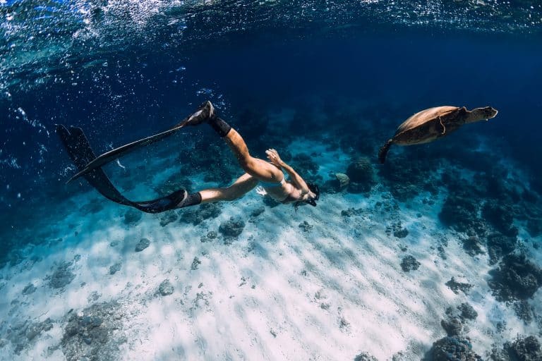 Waikiki Catamaran Snorkel Sail