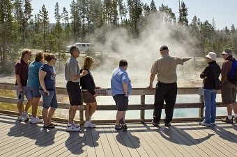 Yellowstone In A Day Tour