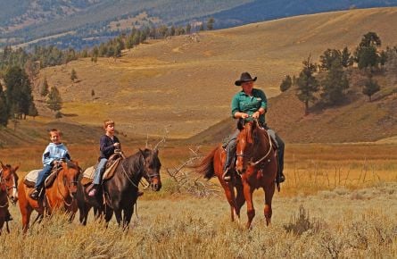 Paardrijden in Yellowstone National Park
