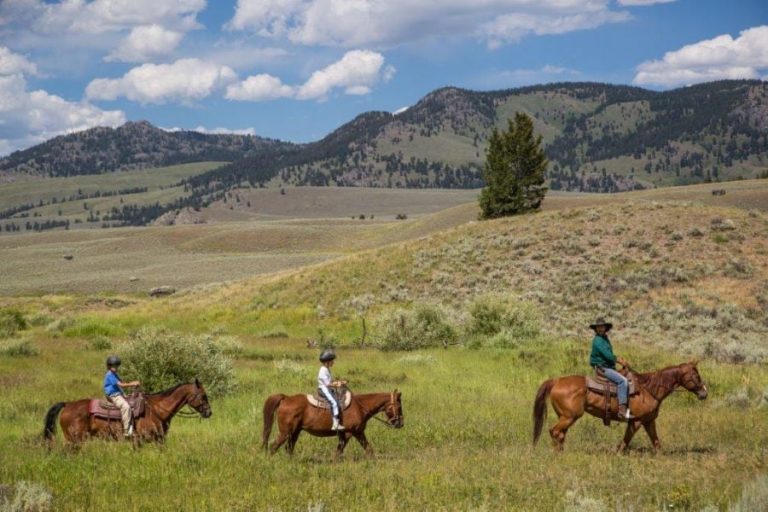 Paardrijden in Yellowstone National Park