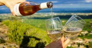 Wijnproeverij met uitzicht op wijngaard tijdens de Muir Woods Wine Country Day Tour