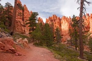 Rotsformaties en paden in Bryce Canyon National Park