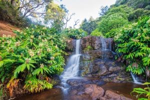 Kleine waterval in Koloa, Kauai, Hawaii