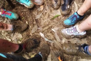 Waterfall and Rainforest Hiking Adventure