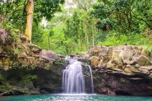 Waterval in regenwoud op Maui, Hawaii