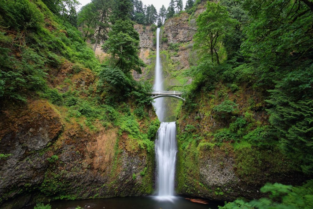 Multnomah Falls in Oregon met brug en omliggende bossen