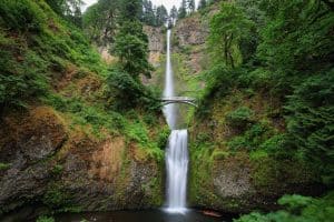 Multnomah Falls in Oregon met brug en omliggende bossen
