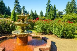 Fontein in de International Rose Test Garden in Portland, Oregon