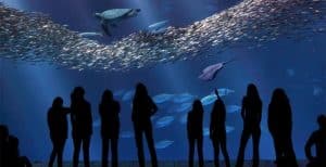 Monterey Bay Aquarium