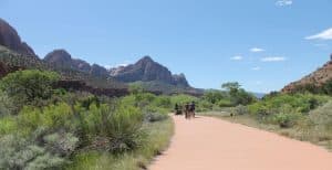 Fietsers op pad in Zion National Park in Utah