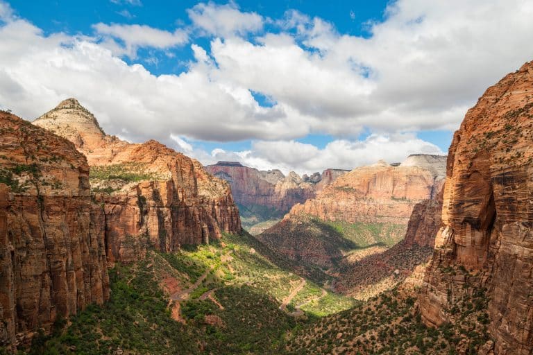 Uitzicht over Zion National Park in Utah met rode rotsen