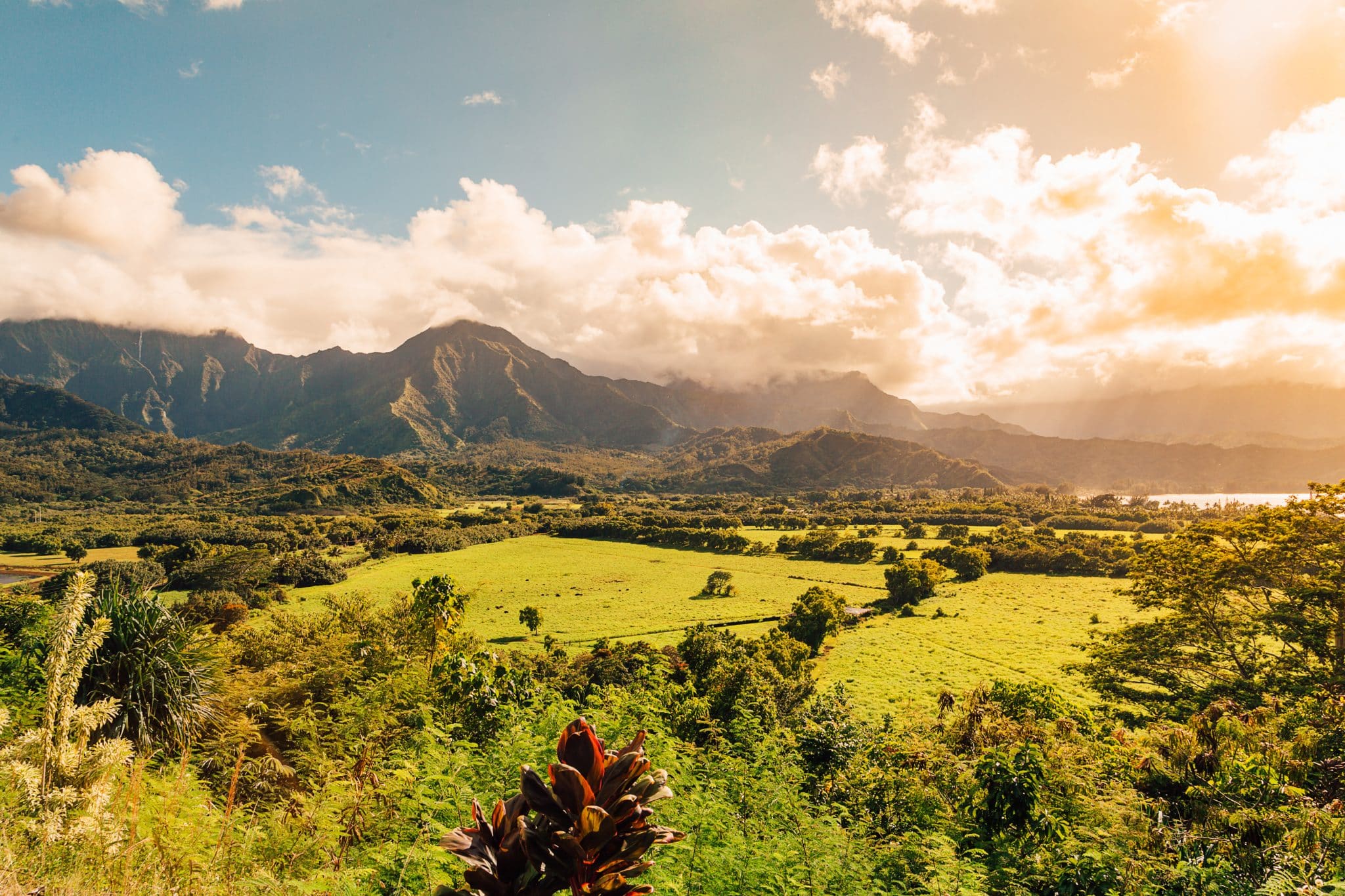 Groen dal en berglandschap op Kauai, Hawaii