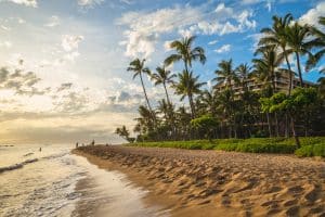 Strand met palmbomen en resorts op Maui, Hawaii