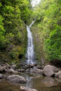 Manoa Falls waterval op Oahu Hawaii