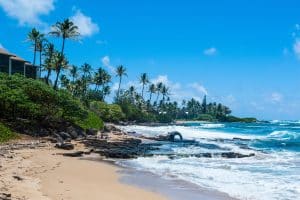 Strand met palmbomen en rotskust op Oahu, Hawaii