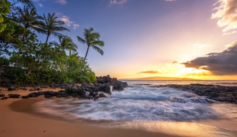 Strand met palmbomen en lavakust bij zonsondergang op Hawaii