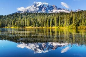 Meer met Mount Rainier in Mount Rainier National Park