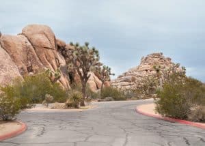 Weg door Joshua Tree National Park in Californië