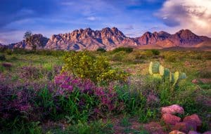 Organ Mountains bij Las Cruces in New Mexico