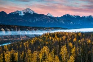 Herfstbos en bergen Anchorage Alaska