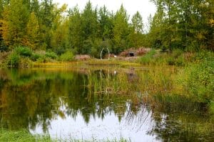 Meer met bos bij Anchorage Alaska