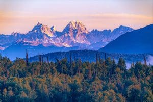 Denali National Park Alaska met bergketen en bos in avondlicht