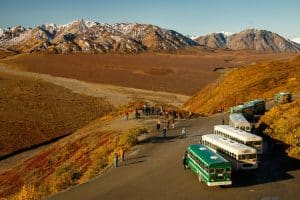 Denali National Park Alaska met meerdere bussen bij uitzichtpunt